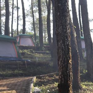 Great Panorama Lodge And Camp By Mhm
